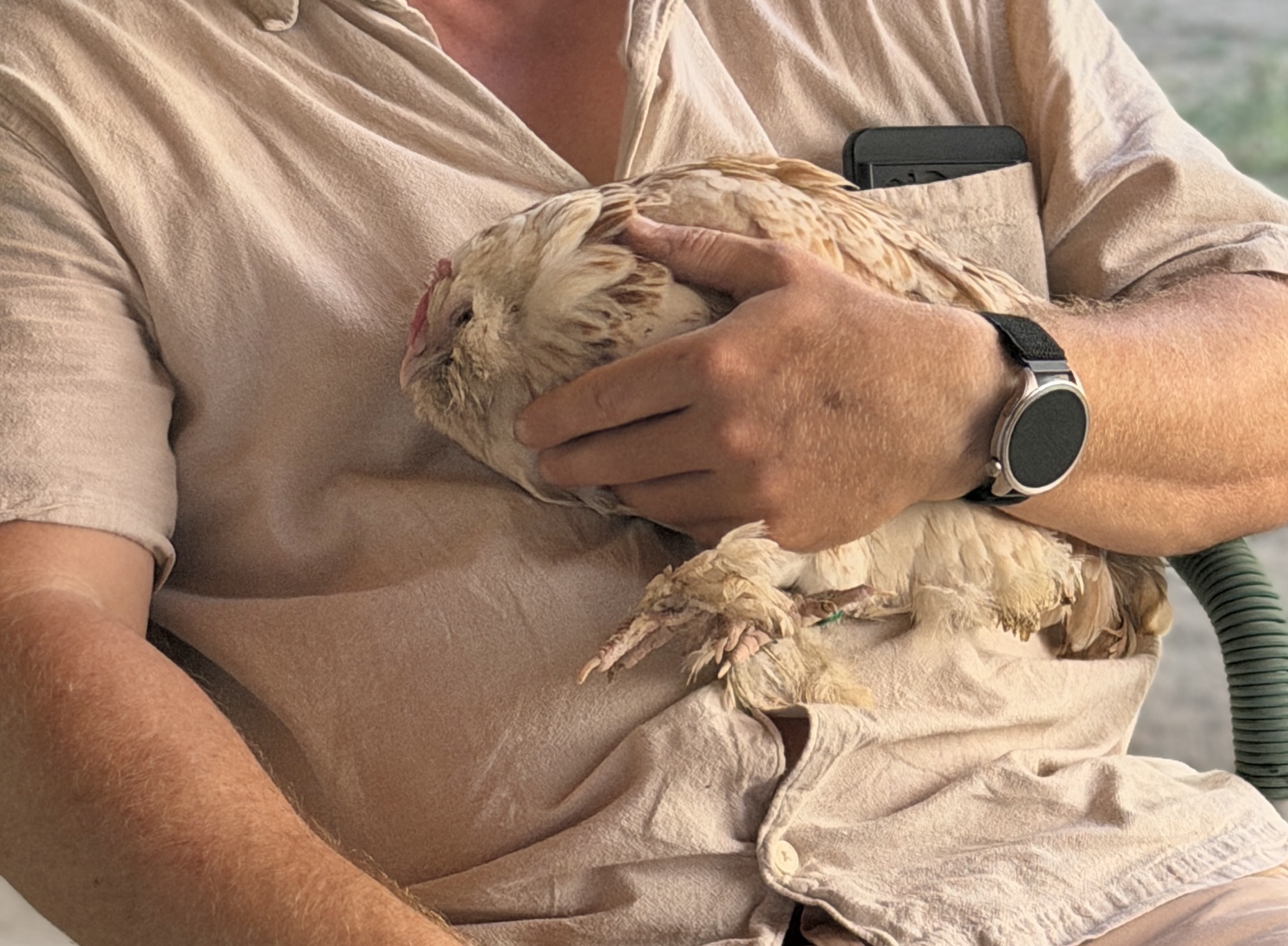 Hedwig auf dem Arm meines Bruders