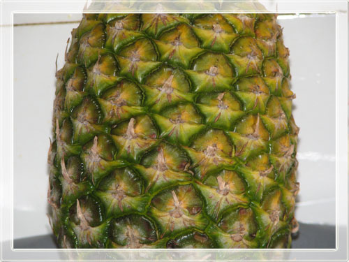 ananas1.jpg