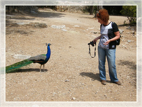 die_vogelfluesterin.jpg